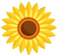 Grow a Sunflower